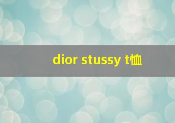 dior stussy t恤